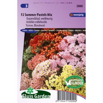 Achillea millefolium Summer Pastels F2 Mix (Samen) - Gemeine Schafgarbe