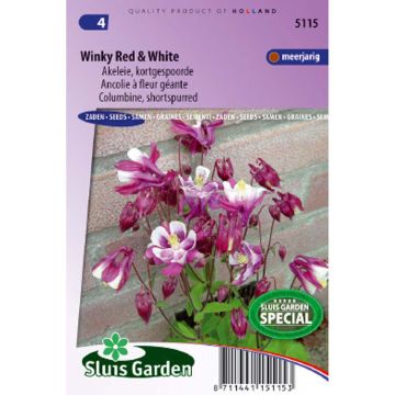 Aquilegia Winky Red & White (Samen) - Garten-Akelei