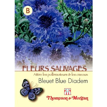 Graines de Centaurée bleuet Blue Diadem - Centaurea cyanus