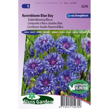 Kornblume Blue Boy (Samen) - Centaurea cyanus