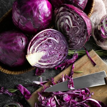 Rotkohl Langedijker Bewaar 2