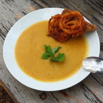 Kollektion "Wärmende Wintergemüsesuppe" - 5 Gemüsesorten als Samen und Pflanzen