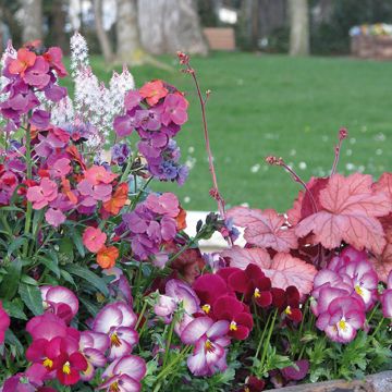 Romantische Frühlingskollektion in abgestuften Rosa-Tönen