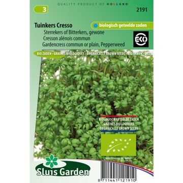 Garten-Kresse Bio - Lepidium sativum