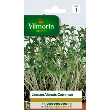 Garten-Kresse - Vilmorin - Lepidium sativum