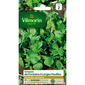 Echte Brunnenkresse - Vilmorin - Nasturtium officinale