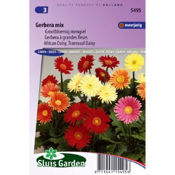 Gerbera Mix (Samen)