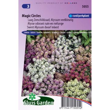 Strand-Silberkraut Magic circles (Samen) - Lobularia