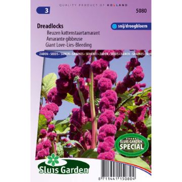 Amaranthus caudatus Dreadlocks (Samen) - Garten-Fuchsschwanz