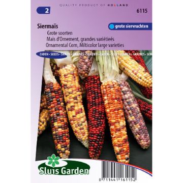 Zea mays japonica Grandes variétés (Samen) - Mais