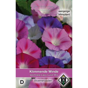 Ipomoea purpurea Lazy Luxe (Samen) - Prunkwinde