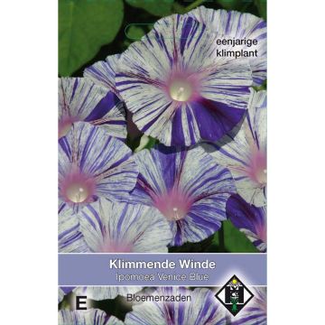 Ipomoea purpurea Venice blue (Samen) - Prunkwinde