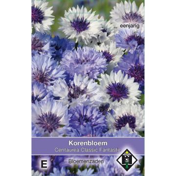 Kornblume Classic Fantastic (Samen) - Centaurea cyanus