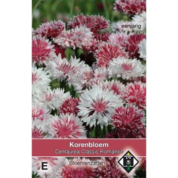 Kornblume Classic Romantic (Samen) - Centaurea cyanus