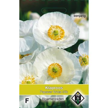 Klatsch-Mohn Bridal Silk (Samen) - Papaver rhoeas