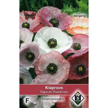 Klatsch-Mohn Parelmoer (Samen) - Papaver rhoeas