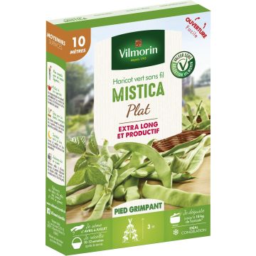 Stangenbohne Mistica - Vilmorin