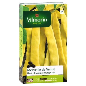 Stangenbohne Merveille de Venise - Vilmorin