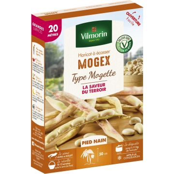 Zwergbohne Mogex - Vilmorin