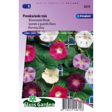 Ipomoea tricolor Mix (Samen) - Prunkwinde