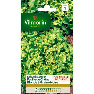 Schnittsalat Eichenblatt Blonde - Vilmorin