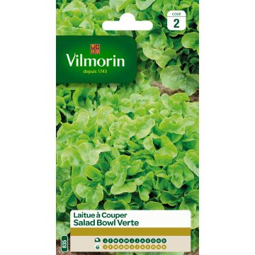 Schnittsalat Salad Bowl Verte - Vilmorin