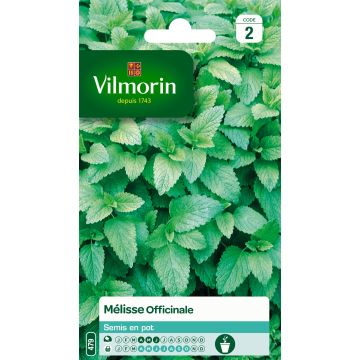 Melisse - Vilmorin - Melissa officinalis