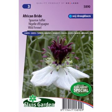 Nigella papillosa African Bride (Samen) - Schwarzkümmel