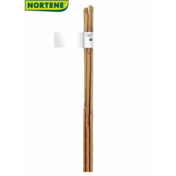 Bambus Pflanzstab NATURAL BAMBOO