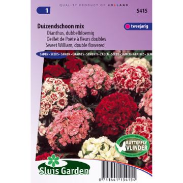 Dianthus barbatus Double Mix (Samen) - Bartnelke