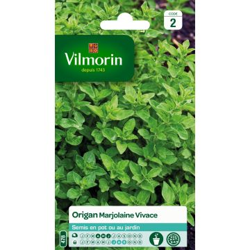 Gewöhnlicher Dost - Vilmorin - Origanum vulgare