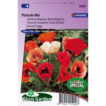 Orientalischer Mohn Pizzicato Mix (Samen) - Papaver orientale