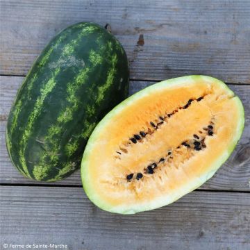 Wassermelone Mountain Yellow