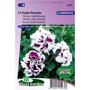 Petunia F1 Purple Pirouette (Samen)