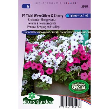 Petunia F1 Tidal Wave Silver & Cherry Red (Samen)