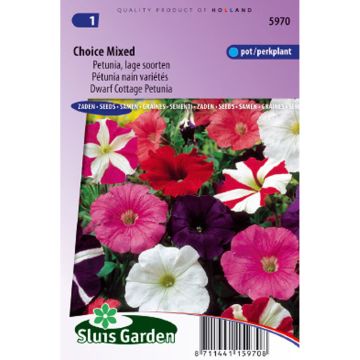 Petunia Choice Mix (Samen)