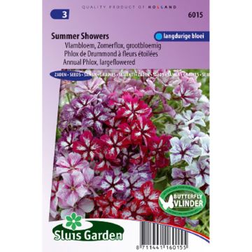 Sommer-Phlox Summer Showers Mix (Samen) - Phlox