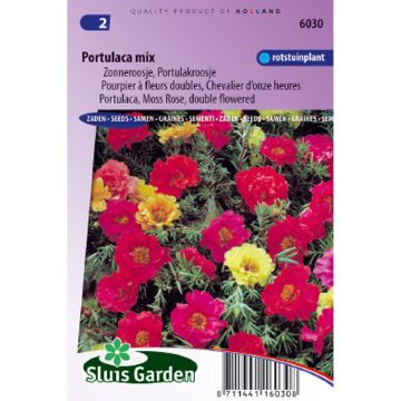 Portulakröschen (Samen) - Portulaca grandiflora