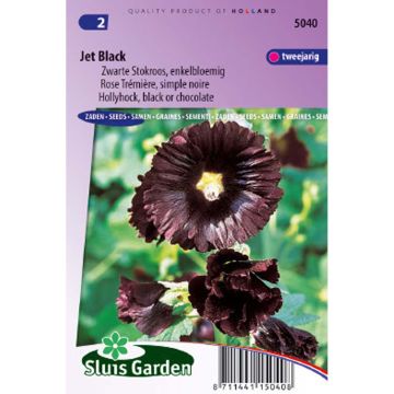 Alcea rosea Nigra Jet Black (Samen) - Gewöhnliche Stockrose