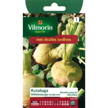 Rübenkohl Wilhemsburger - Vilmorin