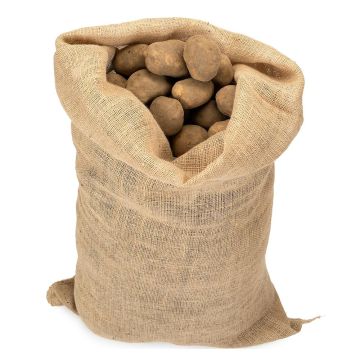 Spezial-Jutesack für Kartoffeln 215 g/m2, Fassungsvermögen 25 kg, 51 x 79 cm, Die Cordeline