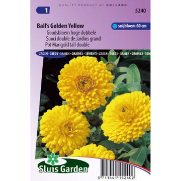 Ringelblume Ball’s Golden Yellow (Samen) - Calendula officinalis