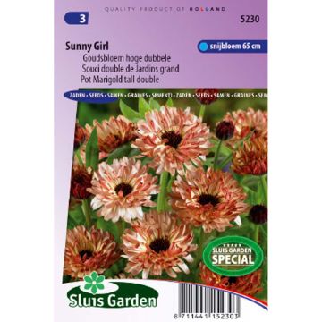 Garten-Ringelblume Sunny Girl - Calendula