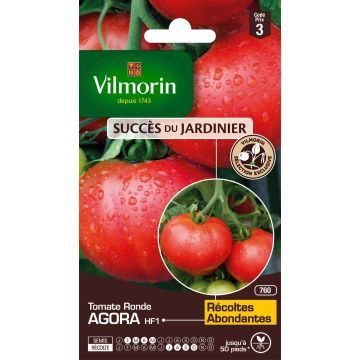 Tomate Agora - Vilmorin