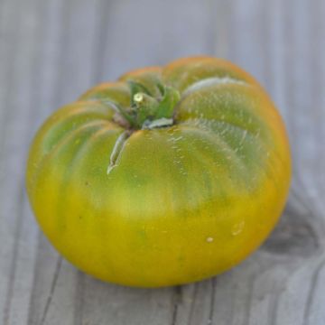 Tomate Green Moldovan Bio