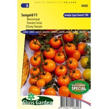 Kirschtomate Sungold