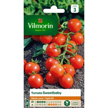 Kirschtomate Sweetbaby - Vilmorin