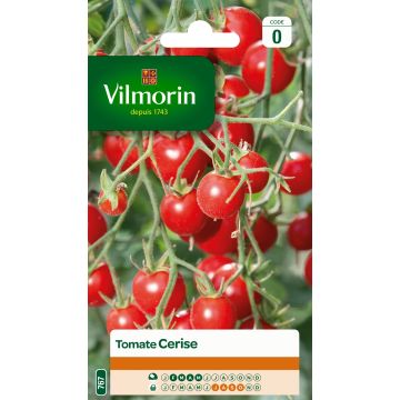 Kirschtomate cerise - Vilmorin