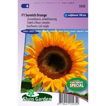 Gemeine Sonnenblume Sunrich Orange F1 - Helianthus