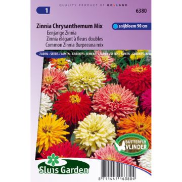 Garten-Zinnie Chrysanthemum Mix (Samen)